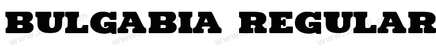 Bulgabia Regular字体转换